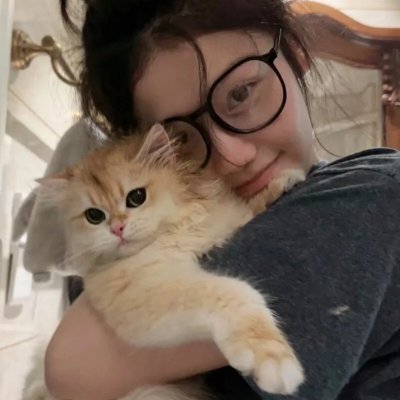 搏击之王4入侵者