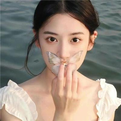云奇飞行日记